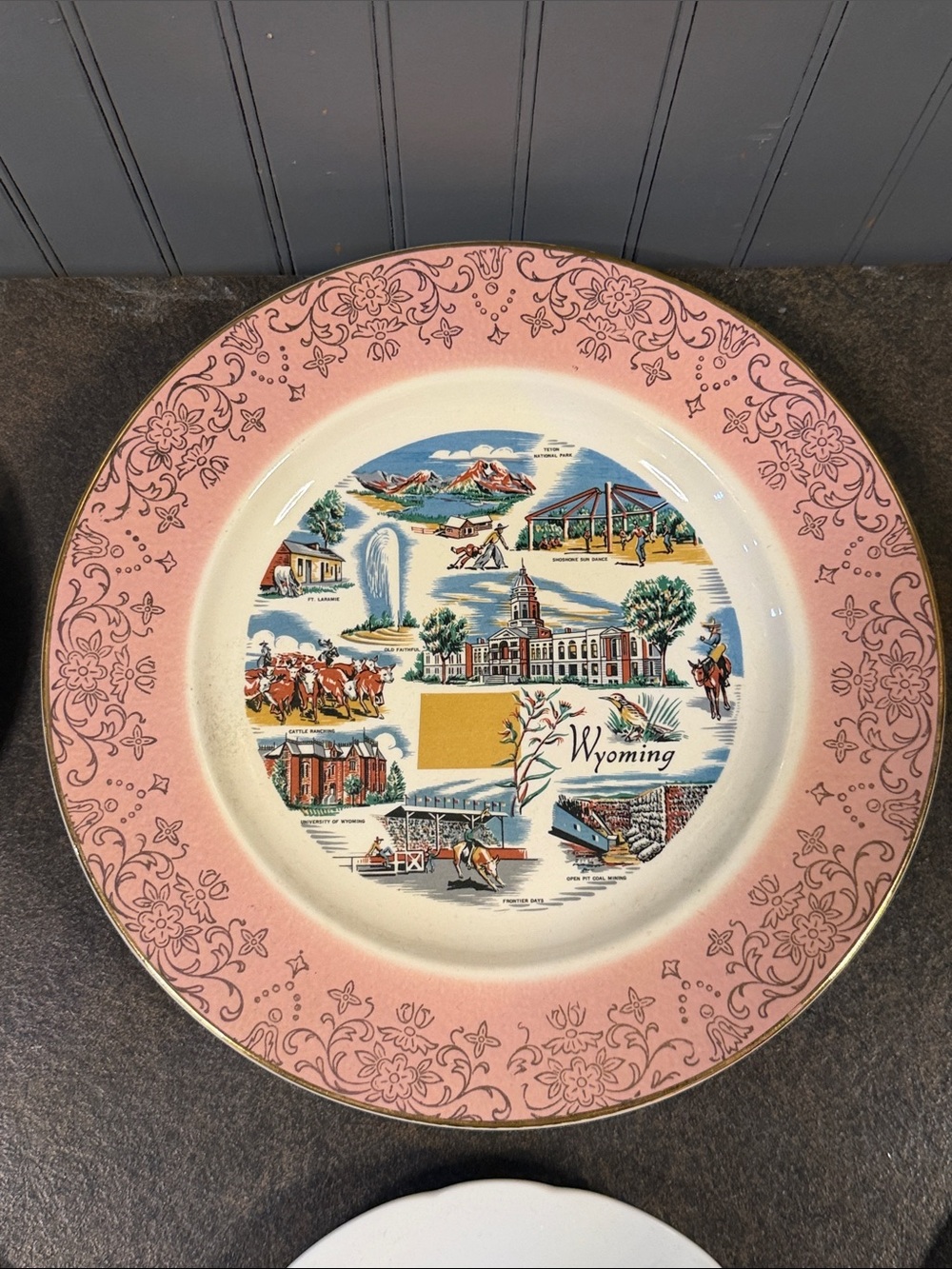 Wyoming Collectible Pink Border Souvenir Plate